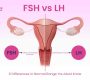 BlogDr_Meera_FSH vs LH 6 Differences in Normal Range You Must Know 90x80