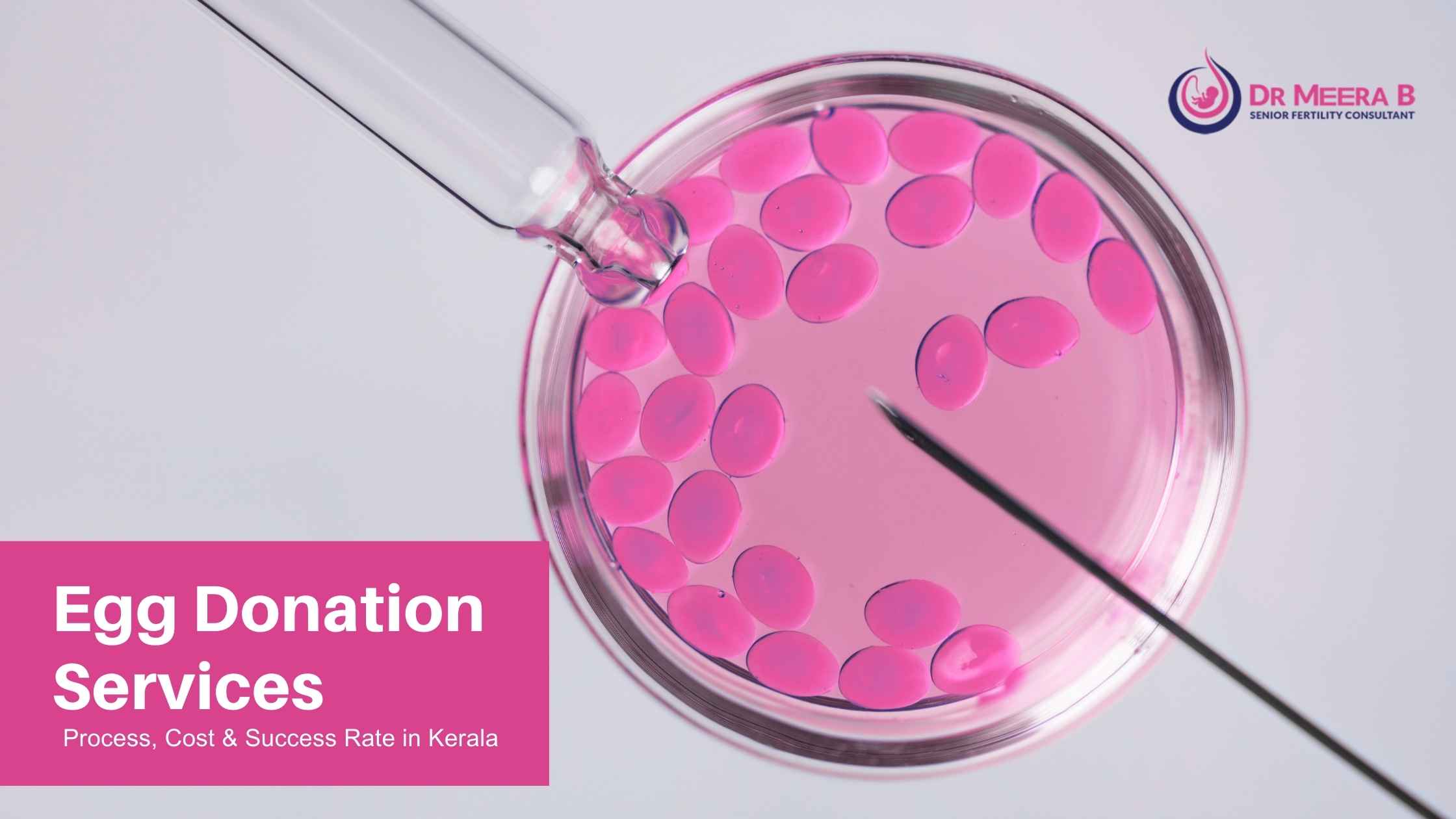 Egg Donation Services