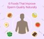 BlogDr_Meera_6 Foods That Improve Sperm Quality Naturally 90x80
