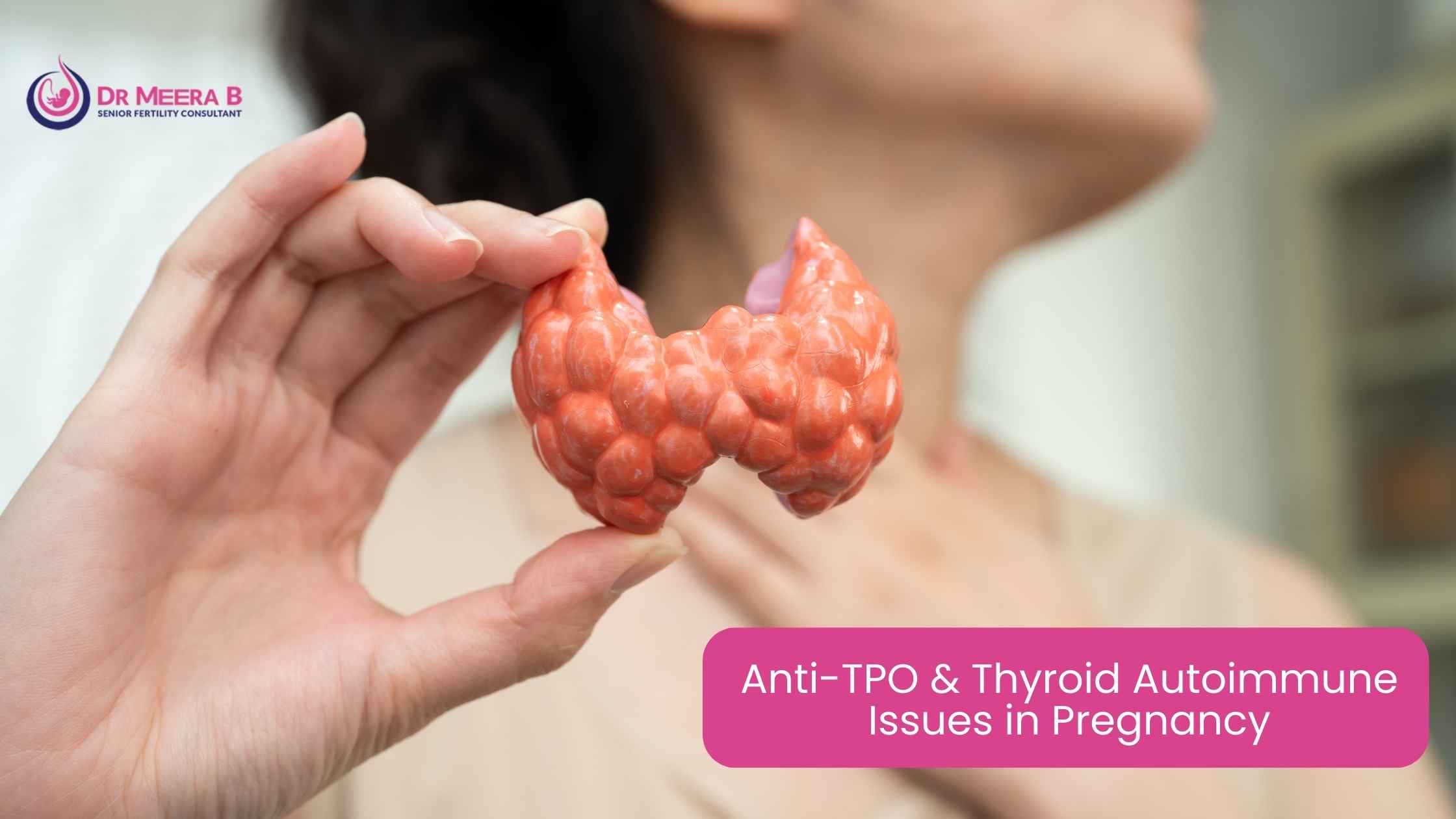 TPO Thyroid