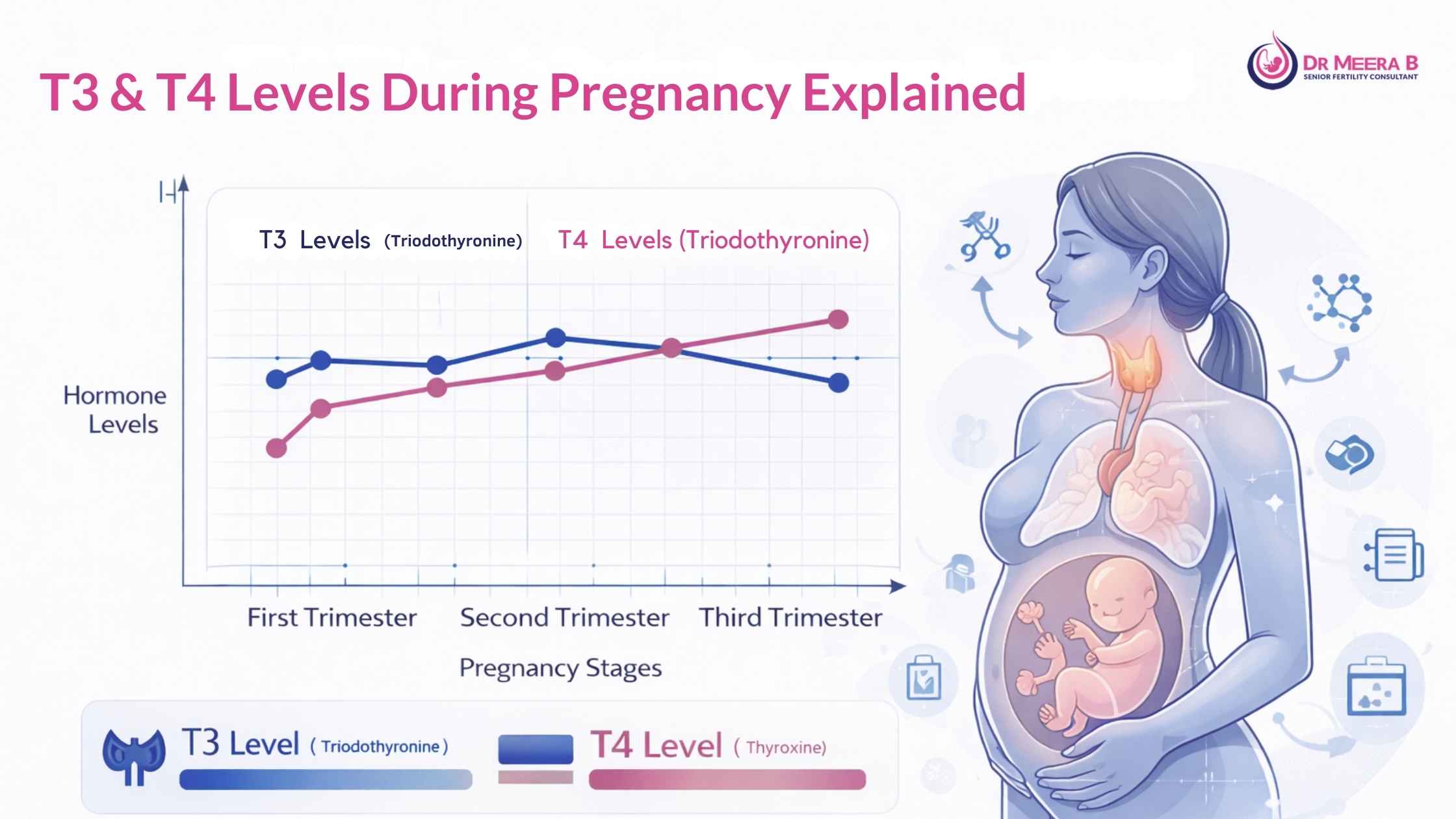 T3 T4 levels in pregnancy